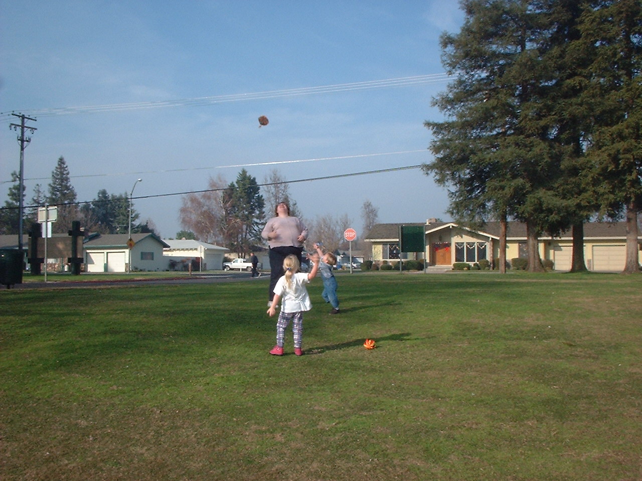 children playing in park [IMG]