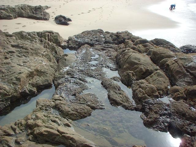 Photo of tidepools at Bean Hollow State Beach, California, taken on November 2, 2002.